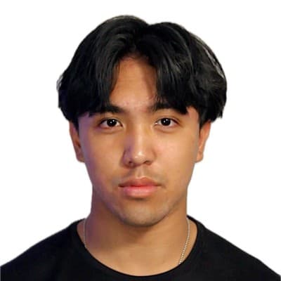 Andre Camerino photo